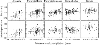 Rooting Depths Lateral Root Spreads And Below Ground Above