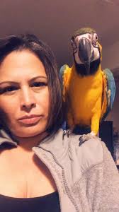 Hi everyone, just wondering if anyone has a flock of three birds....is one  always left out or ganged up on? I've heard some people say that a flock  should always be even