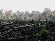 Image result