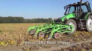 Read on to find the answers to all the questions on your mind about this luxurious veggie. Dry Bean Digging Digger Cutter Sweere Youtube