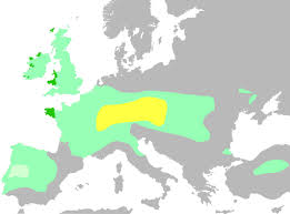 There were some minor regional differences between celtic people. Ancient Celtic Women Wikiwand