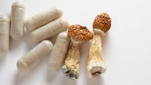 Microdosing Mushrooms: Anecdotes, Benefits, Evidence, & Risks | Mind Lab Pro®