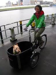 Dogs On Bikes Hund Fahrrad Fahrrad Radeln