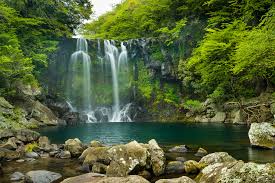Image result for the island jeju