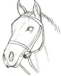 Hier Erkennen Sie Selber Wie Kann Man Ein Pferd Realistisch Zeichnen Schritt Fur Schritt Zeichnen Wir Es Realistisch Zeichnen Tiere Malen Malen Und Zeichnen