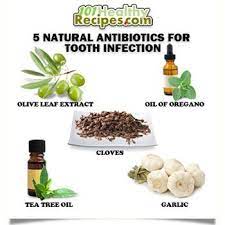 5 Natural Antibiotics For Tooth Infection Home Remedies Natural Antibiotics Tooth Infection Natural Health Remedies