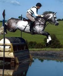 Matching Your Outfit With Your Horses Colors Horses Eventing Eventing Horses