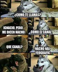 Imagenes De Humor Memes Chistes Chistesmalos Imagenesgraciosas Humor Http Www Megamemeces Com Memeces Imagenes De Memes Divertidos Memes Graciosos Memes