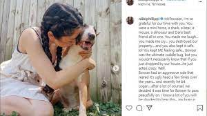 Er spürt den eintritt seines todes nicht. Youtuber Paar Lasst Eigenen Hund Einschlafern Und Erntet Heftige Kritik Stern De