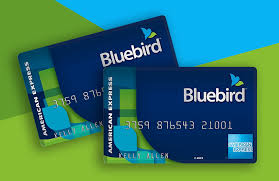 The magnetic strip and chip on credit/debit cards store more than just the number and a qr code could also, but for online or over the phone payments it's much easier for a person to look at a number than need to decode a qr code. American Express Bluebird Prepaid Card 2021 Review Is It Good Mybanktracker