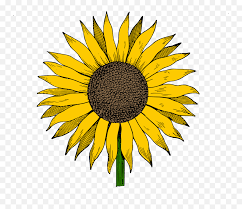 Free Free 109 Clipart Sunflower Png Transparent SVG PNG EPS DXF File