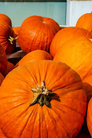 To be sure the hole isn't too large for the new stem, draw a small circular line to cut along. Pumpkins Health Benefits And Nutritional Breakdown