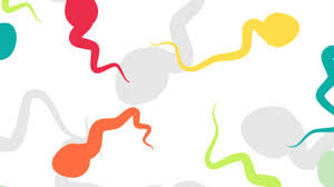 Lusttropfen ohne vollständige ejakulation hat ein geringes. Lusttropfen Schwanger Werden Durch Praejakulat