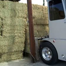 Oct 08, 2020 · saturday adoption events during the next few months, our events may be postponed due to unforeseen circumstances. Livestock Feed And Supply In Fontana Yelp