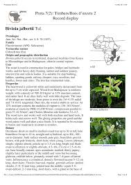 Image result for Bivinia jalbertii