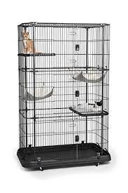 Check spelling or type a new query. Best Cat Enclosures Must Read Reviews For Cat Parents My Feline Buddy