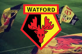 The club recognises its foundation as 1881, aligned with that of its antecedent, watford rovers, and was established as watford football club in 1898. Bitcoin Logo To Feature On Premier League S Watford Fc Shirts Coinfomania