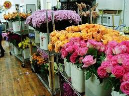 I Miss Not Being Around All Of This Flower Market Flower Show Flower Quotes