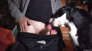 Dude whips out his cock and lets the dog suck on it