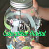 Hornworms are a great feeder insect for your pets! 1