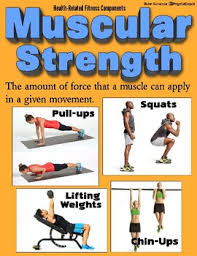 There is a newer edition of this item: 5 Health Related Fitness Components Pe Bulletin Board Display