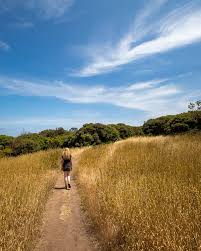 Bushrangers bay beach is unpatrolled and according to life saving victoria, moderately safe when waves are low. The Bushrangers Bay Walk One Of The Best In The Mornington Peninsula Walk My World
