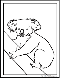 Barbie itself already has thousands of editions and versions from animations to famous animations immortalized in the form of barbie. Koala Coloring Pages For Kids Hop A Ride With A Koala