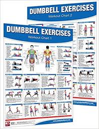 Buy Dumbbell Workout Poster Chart Set Shoulder Training