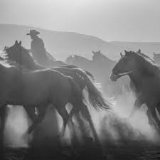 TOP 10 BEST Western Wear Stores near The Plains, VA - Updated 2025 - Yelp