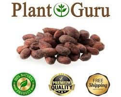 Cocoa beans used to be part of the following crafting recipe. Cacao Beans