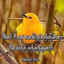 Are you not much more valuable than they? Facebook