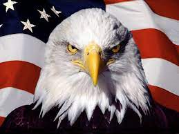 Maybe you would like to learn more about one of these? 49 American Flag With Eagle Wallpaper On Wallpapersafari