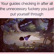 Pin By Alaska Angelini On Journey To Alignment Funny Spiritual Memes Memes Sarcastic Witch Meme