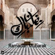 Image result for tbn:fWFGfe7mxNEQKM::www.feamman.com/wallpapers/Img-82755.jpg