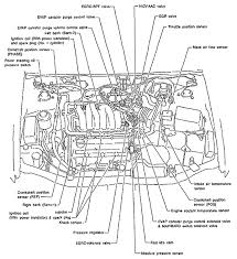 Nissan maxima wiring harness manual ebooks wiring nissan maxima engine diagram best library automotivewiring nissan maxima engine. Diagram 2009 Maxima Engine Diagram Full Version Hd Quality Engine Diagram Ardiagram Rocknroad It