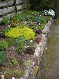 Rock gardens are complex but peaceful environments. How To Build A Rock Garden That Bloomin Garden