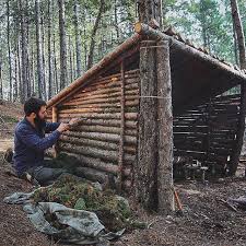 Miracle tube grow tube with treated pine tree stake. Bir Miktar Emek Shelter Bushcraft Bushcrafting Forest Forester Pine Pinetree Treehouse Cabin W Wilderness Survival Camping Survival Bushcraft Shelter