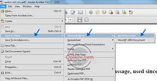 Cara Convert Pdf Ke Word Di Hp Dan Laptop Paling Mudah Opikini
