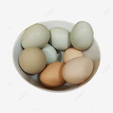 Telur•tepung segitiga biru•tepung beras•kentang di kukus lumatkan•gula pasir•santan rebus dengan tepung terigu (me: Gambar Telur Ayam Warna Biru Dan Kuning Kuning Biru Ayam Png Dan Vektor Dengan Latar Belakang Transparan Untuk Unduh Gratis