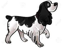 Black And White Springer Spaniel Cartoon Pin By Jill Parnham On Spaniel Cartoon Drawings Spaniel Dog Drawing