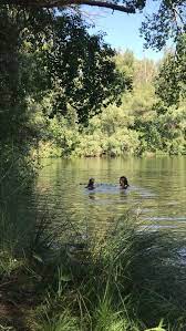 Lake Swimming Nature Aesthetic Summer Dream Nature