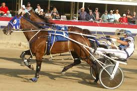 2017 Darke County Fair's harness racing concludes