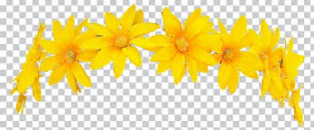 Wreath Crown Yellow Flower Png Clipart Avatan Avatan Plus Blue Common Sunflower Crown Free Png Download Wreath of dandelions flowers handmade on wood table.