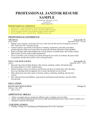 resume profile, resume profile examples