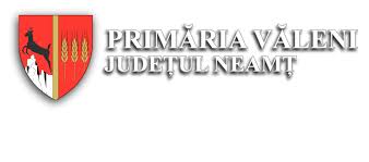 Pnl îl spulberă pe baronul psd ionel arsene. Contact Comuna VÄƒleni