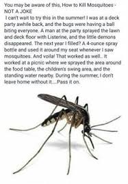 At orange environmental services, we continue to set high standards for ourselves so that our customers receive the best possible lawn care and pest. Peninsular Pest Control Jacksonville Fl Pest Control Software Termite And Pest Control Near Me Local Pest Life Hacks Simple Life Hacks Useful Life Hacks