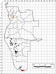 Personnaliser un espace intérieur, faire des économies d'énergie, agrandir la maison, ou tout simplement redonner une. A Taxonomic Revision Of Acanthaceae Tribe Barlerieae In Angola And Namibia Part 1 Springerlink