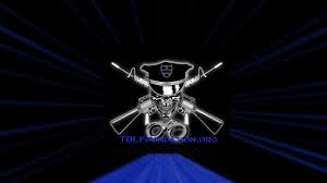 Find over 100+ of the best free thin blue line images. 47 Blue Line Skull Wallpaper On Wallpapersafari