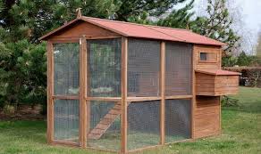 Une maison bien isolée, un poulailler ou encore un enclos fonctionneront tout aussi bien, mais n'ont pas besoin d'être absolument douillets. Poulailler Xxl Notre Selection De Grands Modeles