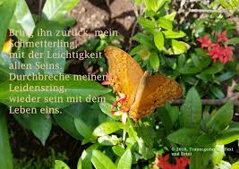 Schmetterling Trauerspruch Trost Trauergedanke Trauer Gedanke Trauerspruche